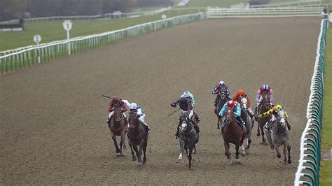 Today's Lingfield Racecards .